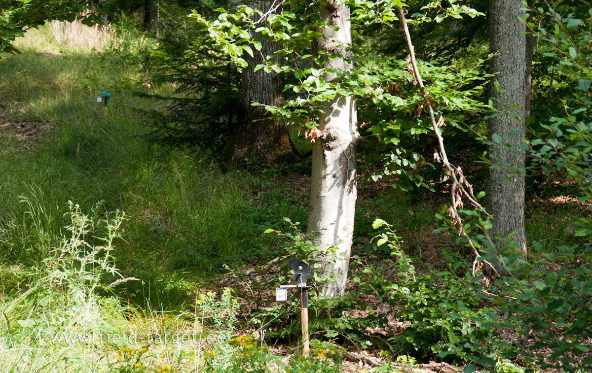 Black Targets are for category 3 and 4